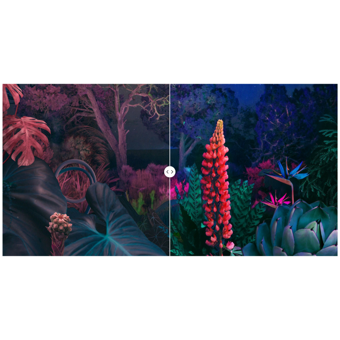 Couleurs réalistes, dans leur pureté avec le cristal fin