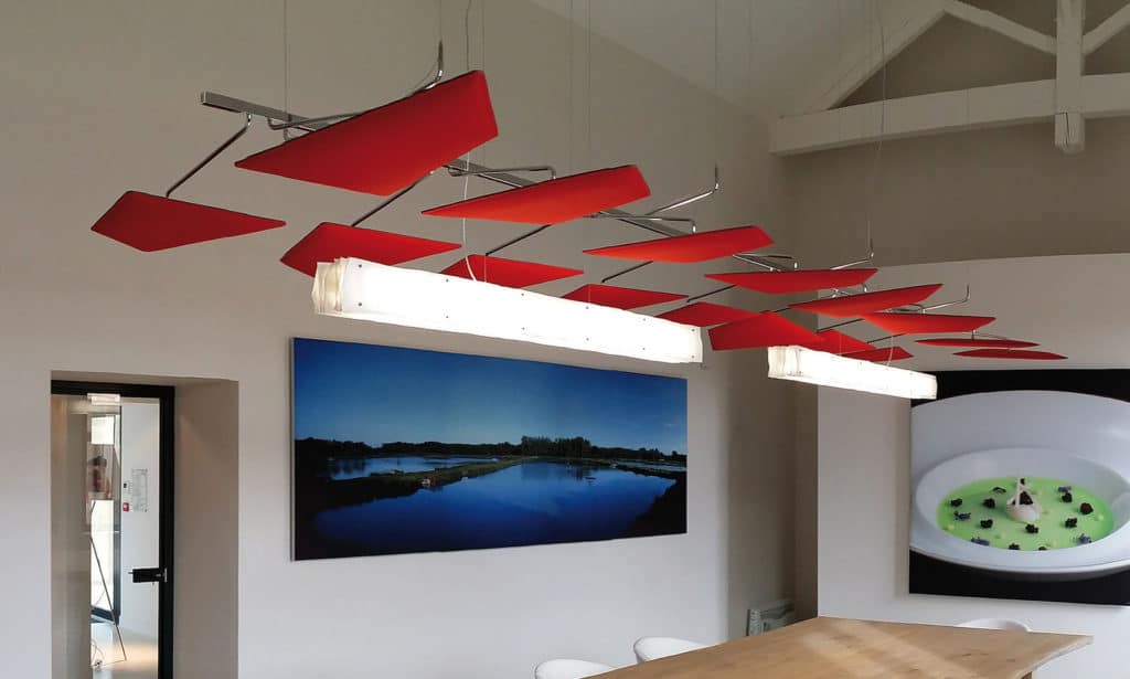 Caimi Flap Ceiling