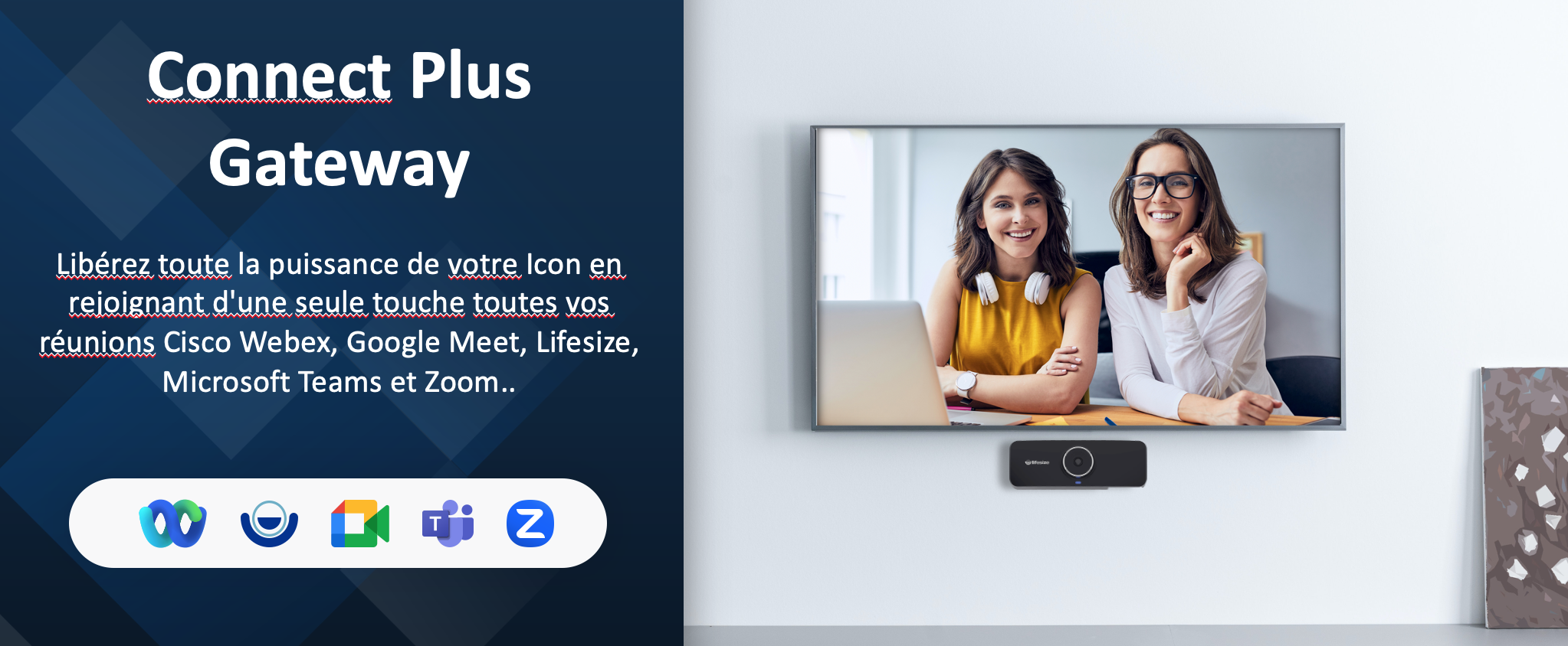 Lifesize connect plus gateway